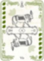 Vis