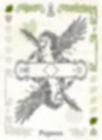 Pegasus